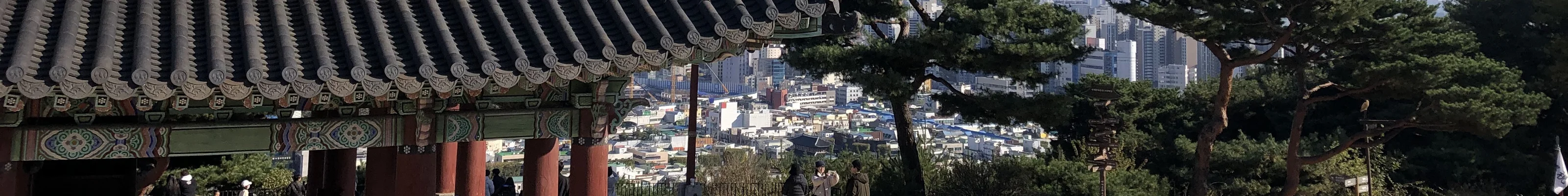 The view of a temple over the city of Suwon