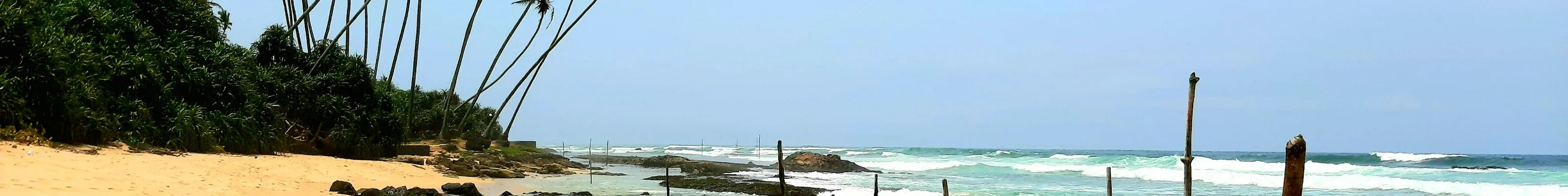 Fishing stilts, Ahangama, Sri Lanka
