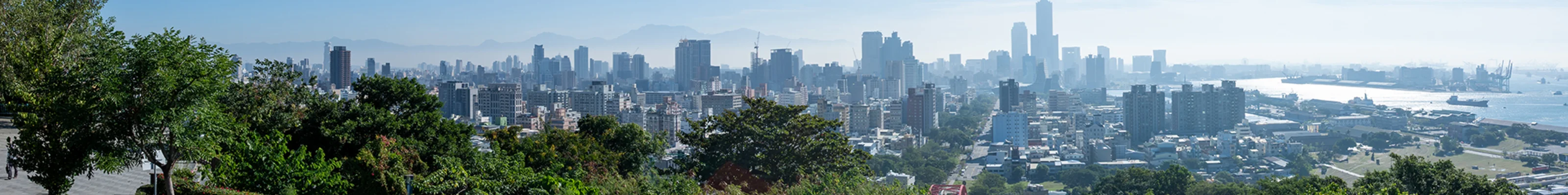 Kaohsiung Skyline Panorama