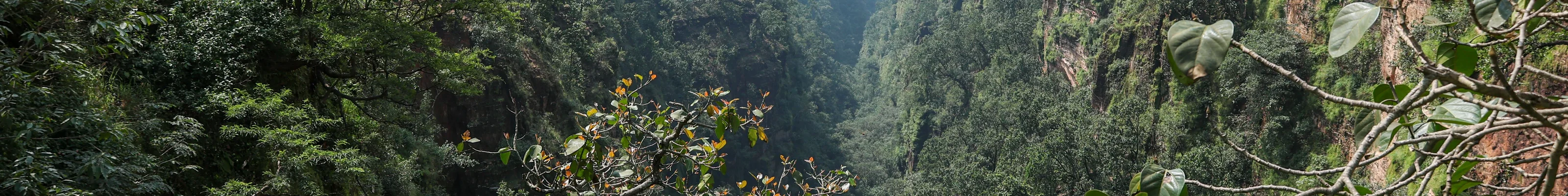 Satpura Gorge, Satpura, India