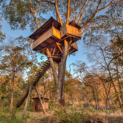 Monkey Pod Treehouse
