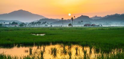 Malaysian landscape