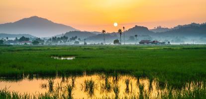 Malaysian landscape