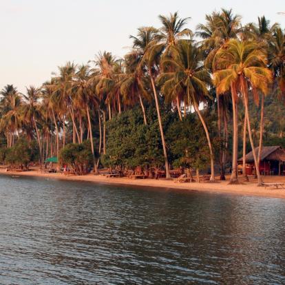 Rabbit island palm fringed beach front