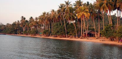 Rabbit island palm fringed beach front