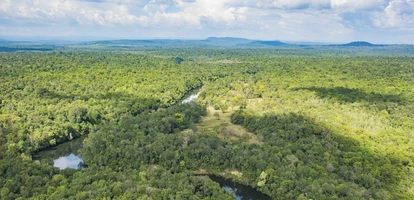 Vast expanse of forested plains in Botum Sakor National Park, with a river meandering among the trees