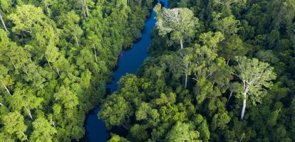 Aerial view of Taman Negara National Park