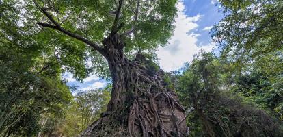 Sambor Prei Kuk in Kampong Thom