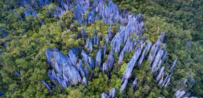 Jagged rock pinnacles shoot out of the jungle at Mulu National Park in Borneo