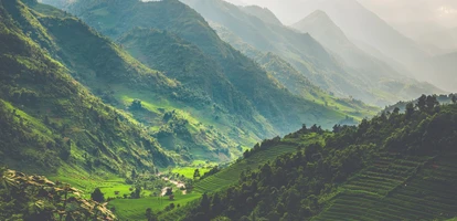 Sapa