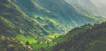 Sapa