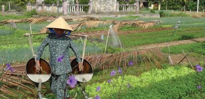 Farming in Vietnam