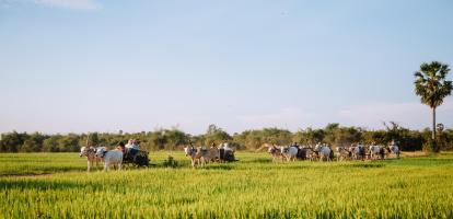 Mekong River scenery - Heritage Line