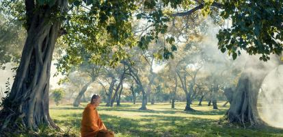 Monk meditating underneath tree in garden in Luang Prabang