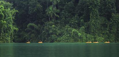 Kayakers cruise in Cheow Larn Lake with deep green jungle behind them