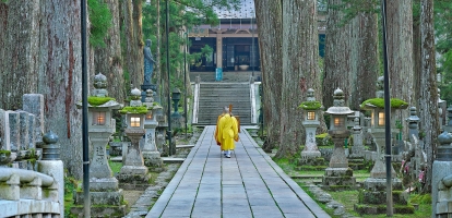 Monk in yellow clothes walking along pathway in Koya