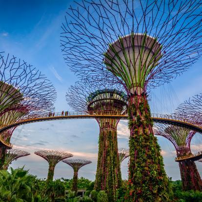 Skytrees with interconnected walkway at Gardens by the Bay, Singapore
