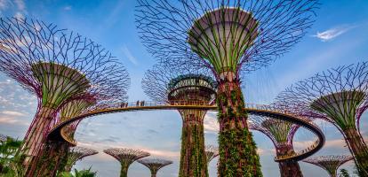 Skytrees with interconnected walkway at Gardens by the Bay, Singapore