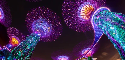 Singapore supertrees illuminated at night