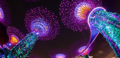 Singapore supertrees illuminated at night