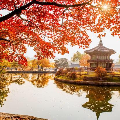 Autumn leaves at Gyeongbokgung Palace in Seoul
