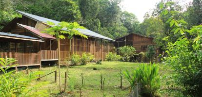 Cabin in the jungle, home to an Iban Tribe family
