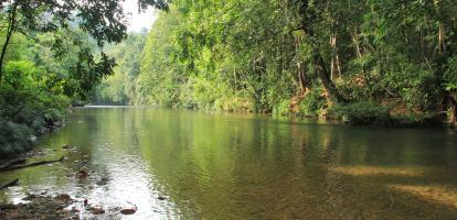 Gentle sunset over the river in Batang Ai, in Malaysian Borneo