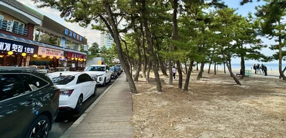 Cars parked on the street right next to the pine-covered beach in Gangneung, South Korea