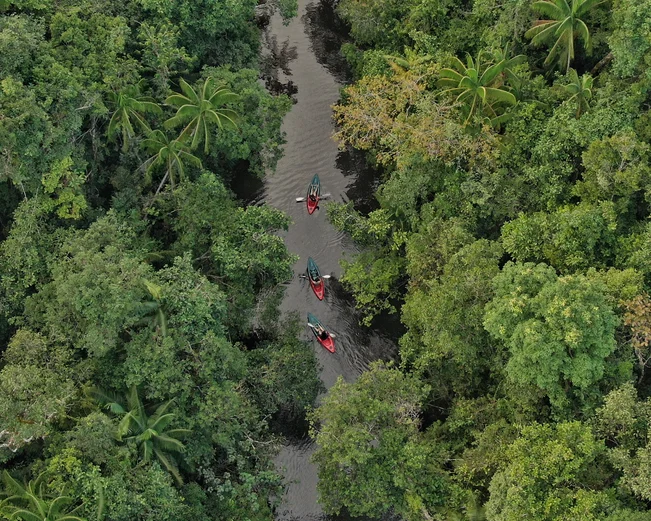 Aerial view of kayakers in Botum Sakor National Park