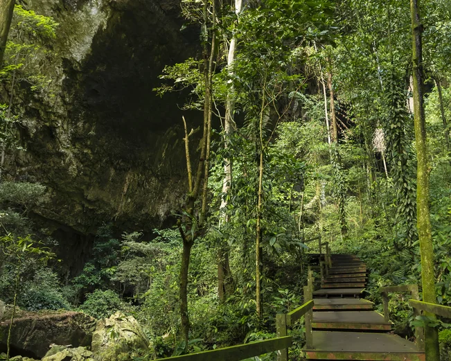 Walkway to Deer Cave, Mulu 