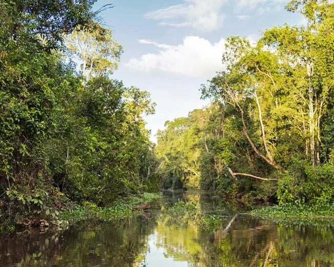 Kinabatangan River