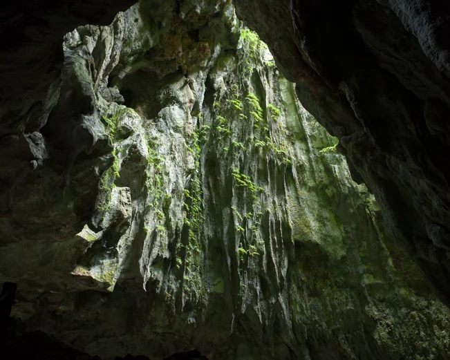 Mulu caves