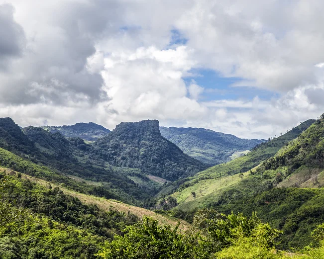 View of Nam Et Phou Louey National Protected Area - Dominique LeRoux 