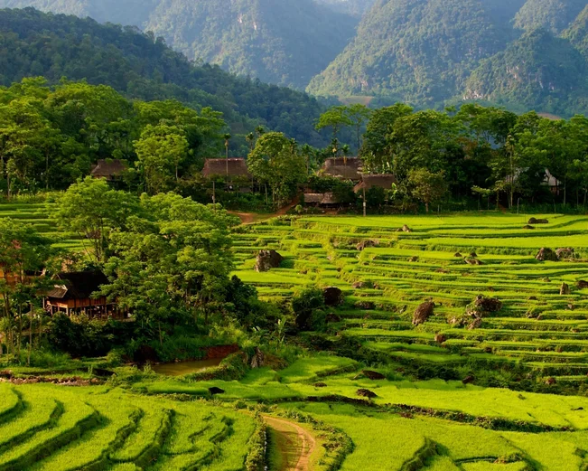 Pu Luong landscape