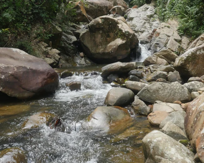 Stream in Sapulot