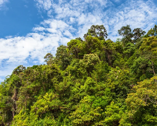 Bako National Park 