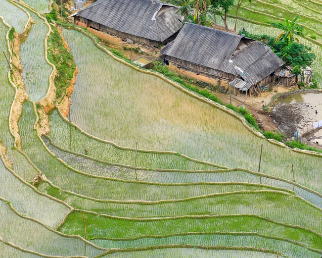 Hoang Su Phi rice fields 