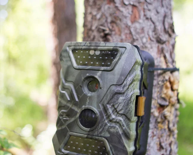 Keo Seima Camera Trap