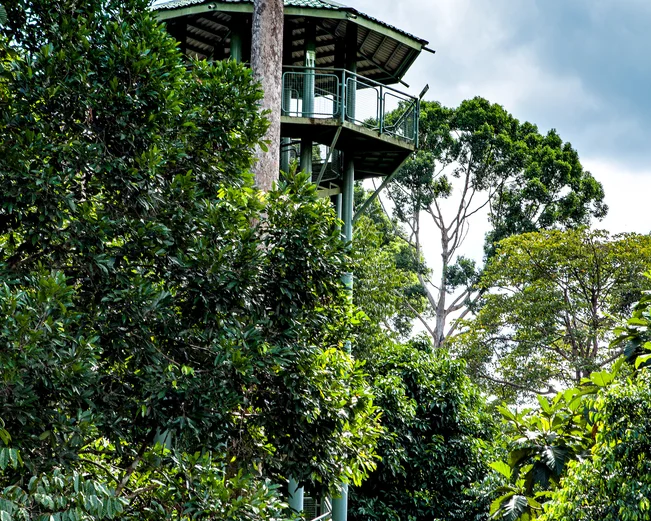 Sepilok Rainforest Discovery Centre