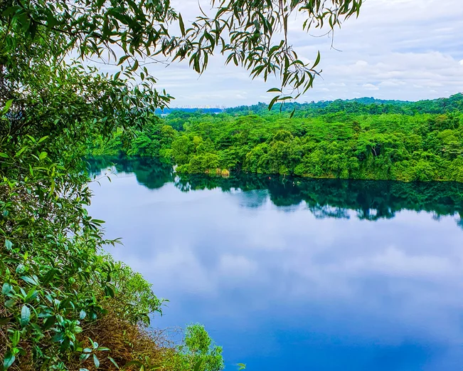 Lake in Pulau Ubin 