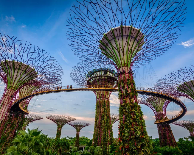 Skytrees with interconnected walkway at Gardens by the Bay, Singapore 