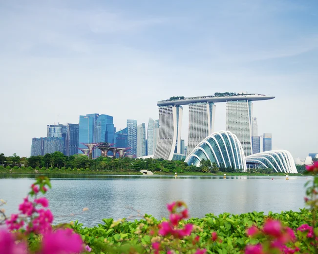 View of Marina Bay Sands Hotel across the bay with pink flowers in foreground