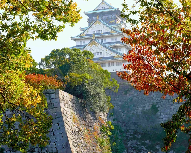 Osaka castle through the autumn trees 