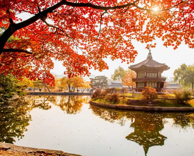 Autumn leaves at Gyeongbokgung Palace in Seoul 