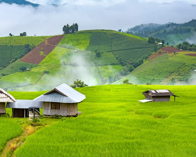 Huts in rice terraces in Chiang Mai, Thailand