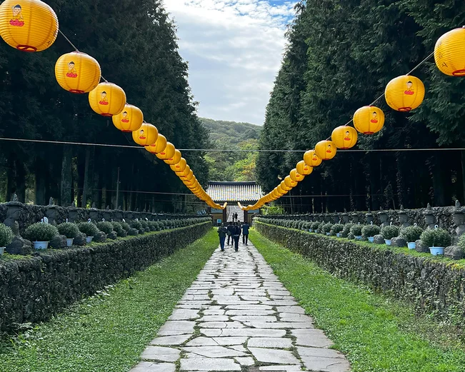 Tree-lined pathway through ancient gateway past paper lanterns