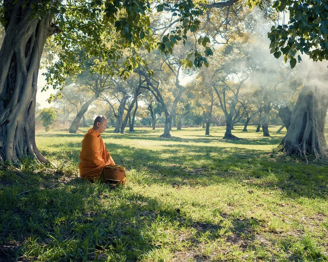 Monk meditating underneath tree in garden in Laos