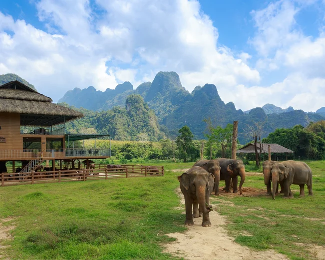 Thailand - Khao Sok National Park - Elephants & Lodge of Elephant Hills
