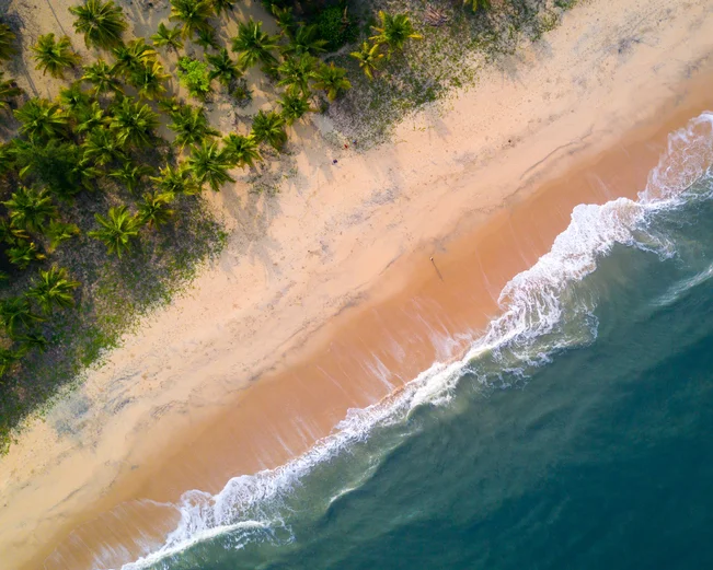 Marari Beach Aerial Shot