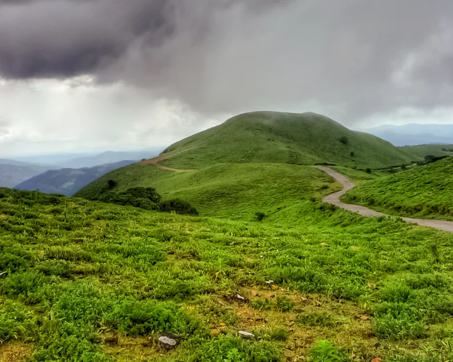 Footpath in Coorg